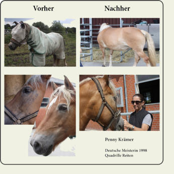 Entwicklung von Amelie während der Testphase