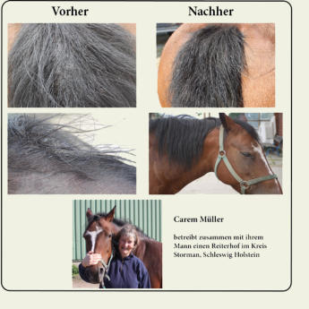 Entwicklung von Amy während der Testphase