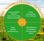 360° Sommerekzem-Methode