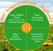 360° Sommerekzem-Methode