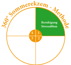 Abschnitt 1: Beruhigung und Stressabbau