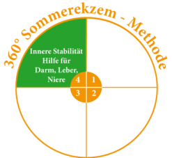 Abschnitt 4: Darm, Leber, Niere