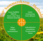 360° Sommerekzem-Methode