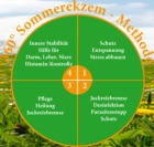 360° Sommerekzem-Methode