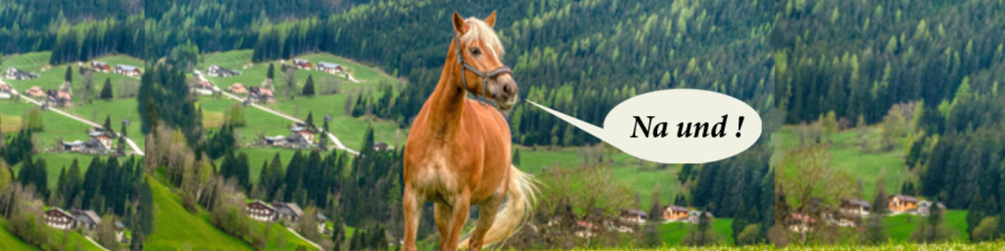 Fröhliches Pferd trotz Arthrose