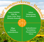 360° Sommerekzem-Methode